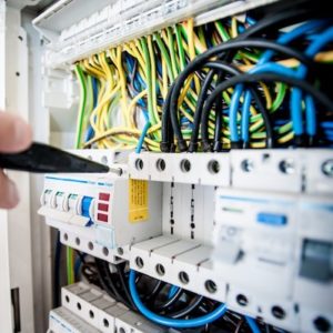 electric training